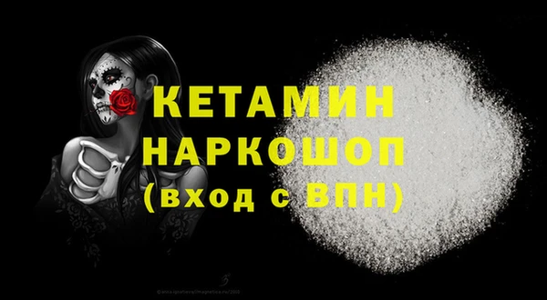 сатива Новодвинск