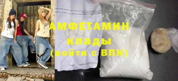 сатива Новодвинск