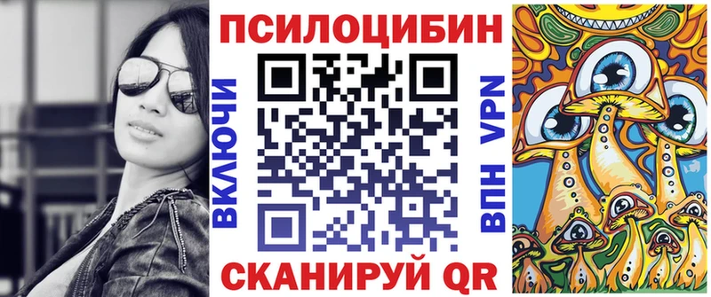 Псилоцибиновые грибы Psilocybine cubensis Северо-Курильск